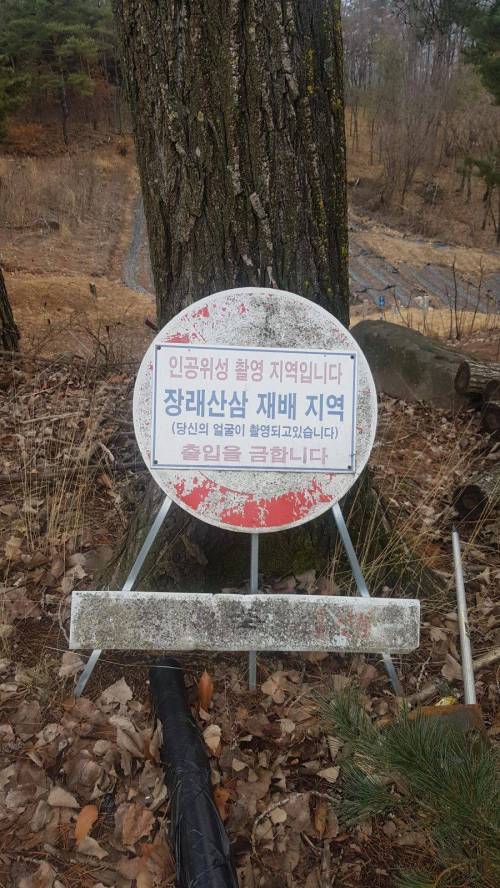대한민국 인공위성의 위엄