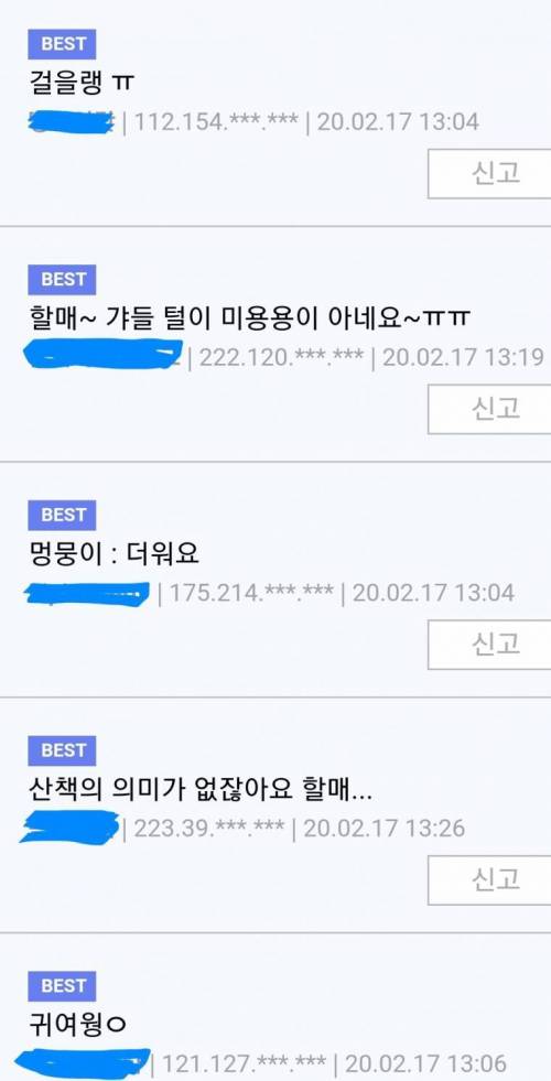 겨울에 강아지 산책시키는 할머니 특징