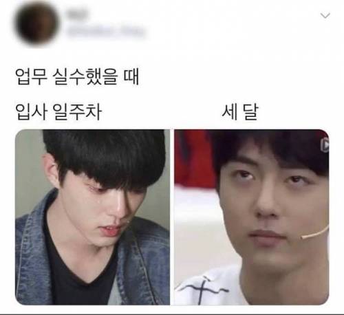 업무실수한 입사 일주차와 세달차.jpg