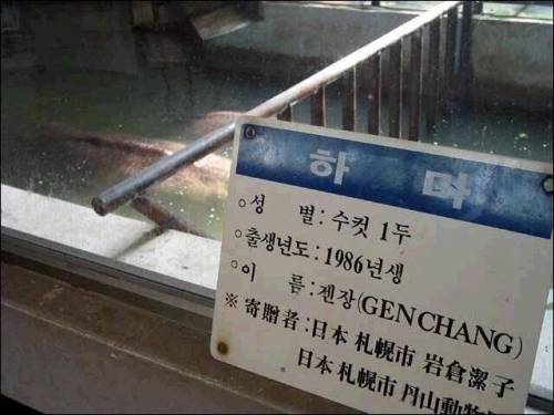 이름이 젠장인 하마의 진실.jpg