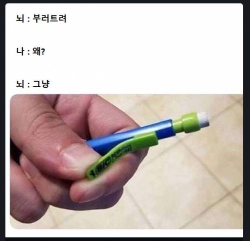 인간의 불합리한 파괴본능