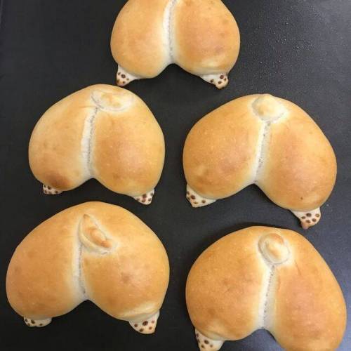 웰시코기 엉덩이 빵.jpg