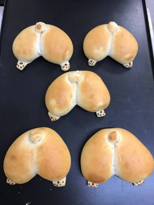 웰시코기 엉덩이 빵.jpg