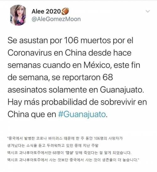 멕시코 근황.jpg