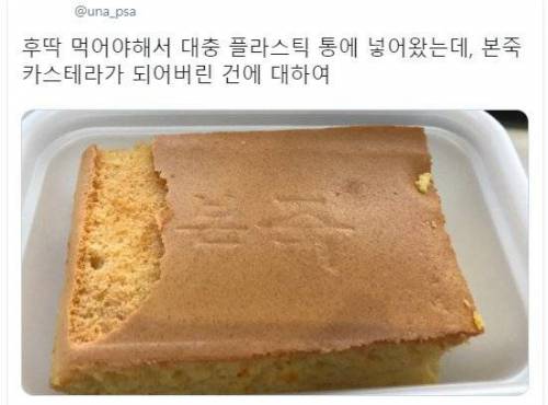 카스테라 먹고 넣어 놨는데