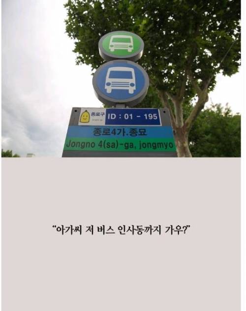 할아버지 할머니가 지하철 버스 방향 물어보는 이유