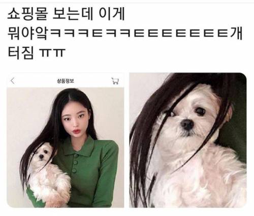 함께찍은 모델 때문에 언짢은 모델