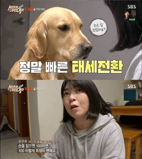 리트리버가 이렇게 화내는 거 첨봄