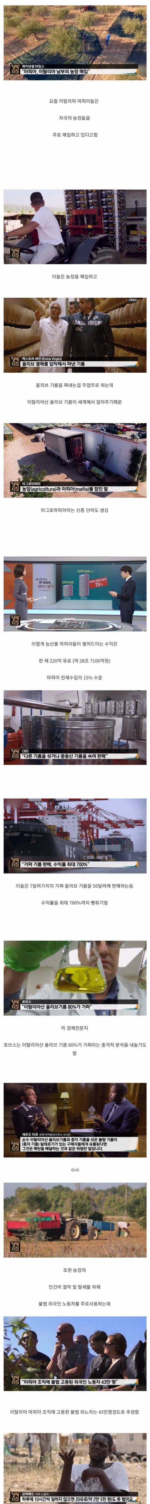 [스압] 이탈리아 마피아 주 수입원.jpg
