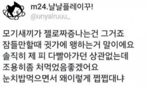 모기가 짜증나는 이유.jpg