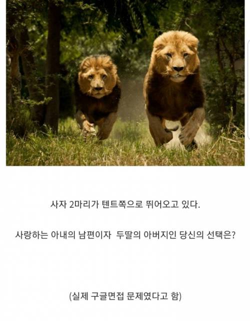 실제 구글 면접에서 나온 문제.jpg