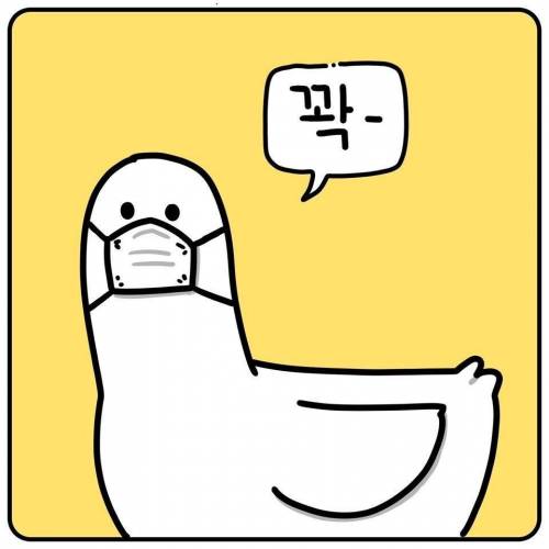마스크 꼭껴야해요?.jpg