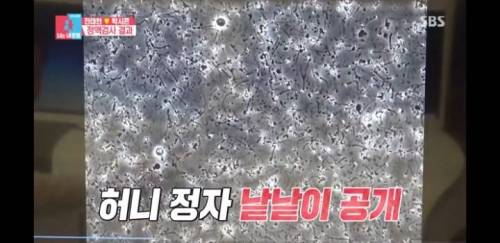 [스압] 검사실 내부 풍경.jpg