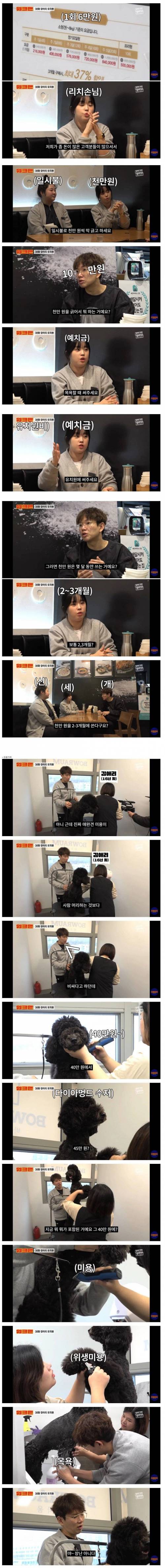 강아지 유치원 가격.jpg