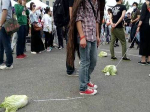 비건들 근황.jpg