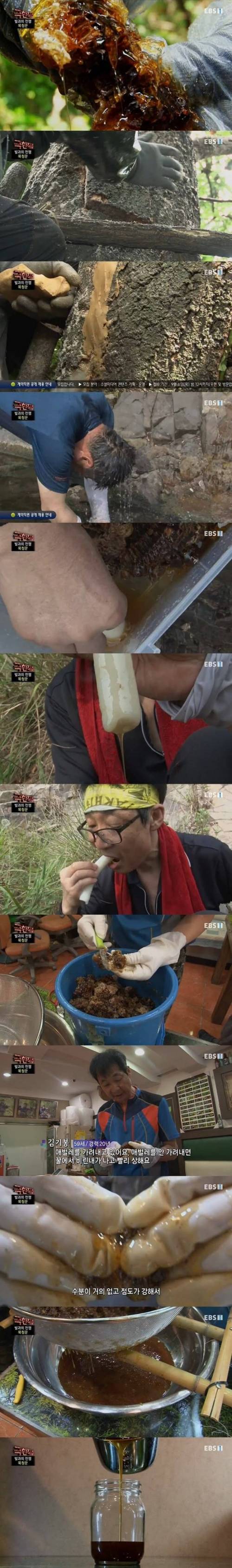 [스압] 극한직업, 목청꾼과 석청꾼.jpg