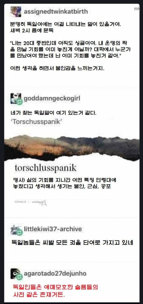 모든 것을 단어로 가지고 있는 독일인들