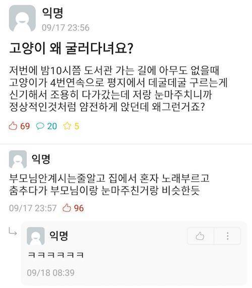 길에서 고양이와 눈 마주쳤을 때