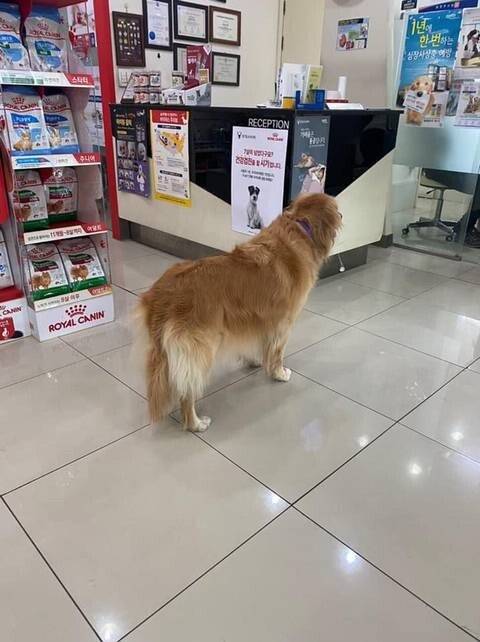 골댕이가 무서웠던 아기고양이.jpg