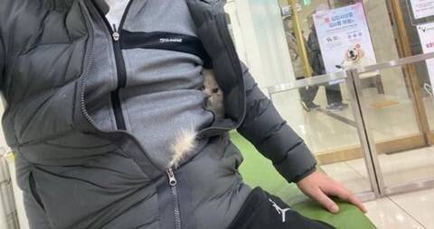 골댕이가 무서웠던 아기고양이.jpg