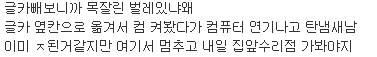 물리적 버그로 그래픽카드 고장난 유저.jpg