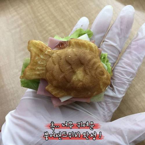 [스압] 붕어빵 샌드위치.jpg