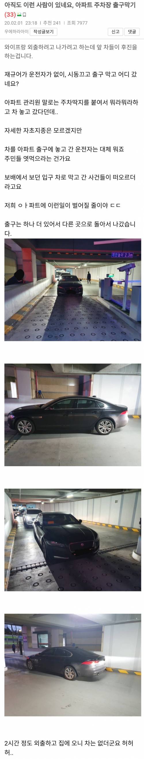 개념상실한 재규어 운전자.jpg