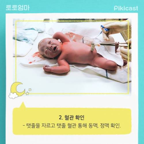 [스압] 엄청바쁘다는 신생아의 24시간.jpg