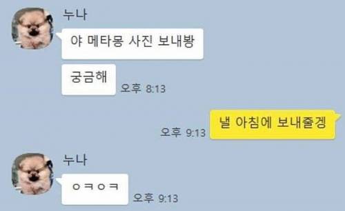 동생 생일선물로 메타몽 해준 누나.jpg