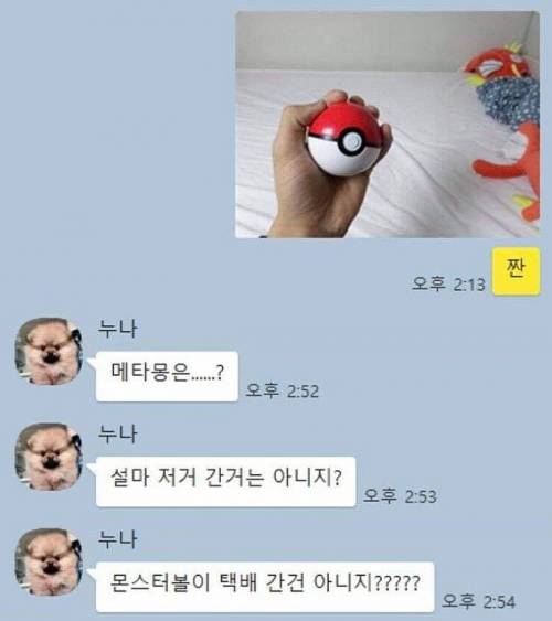 동생 생일선물로 메타몽 해준 누나.jpg