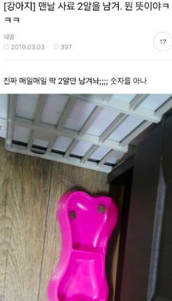 맨날 사료 2알만 남기는데 이거 뭔 뜻이야?