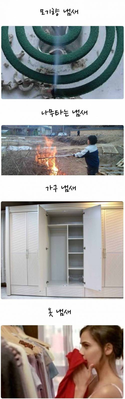 은근 기분좋아지는 냄새들.jpg