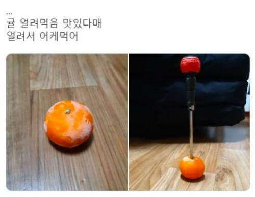 귤 얼려먹음 맛있다매
