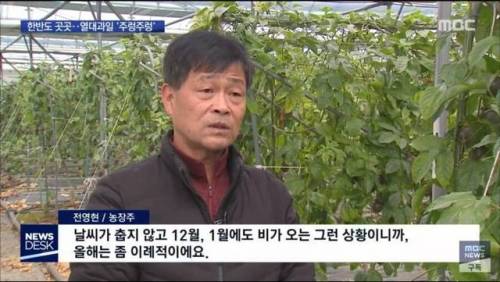 우리나라 과일 근황.jpg