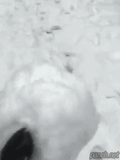 딸과의 눈싸움을 포기한 아빠.gif