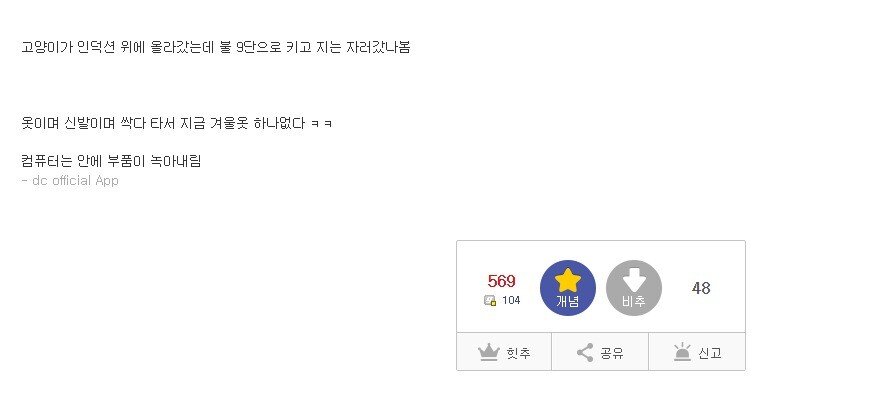 ㅈ된 디시인