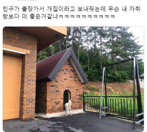 개집이 내 자취방보다 좋음