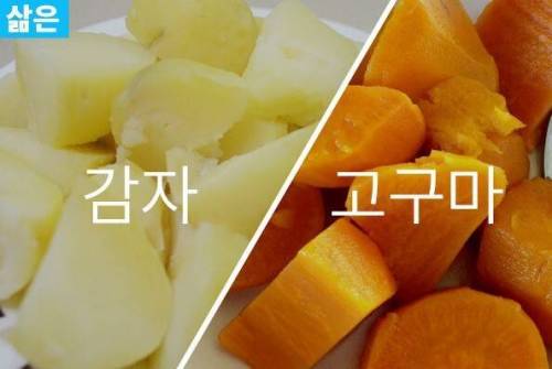 감자 vs 고구마 여러분의 선택은?
