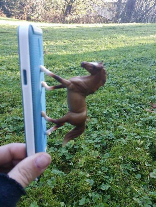 [스압] 핸드폰 그립톡 달때 신중해야하는 이유.jpg