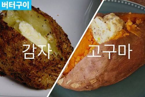 감자 vs 고구마 여러분의 선택은?