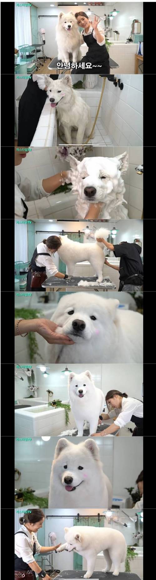 곰돌이컷.jpg