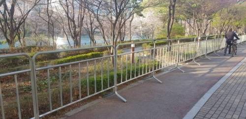 석촌호수 근황.jpg