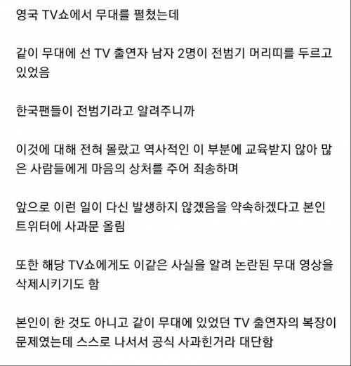 본인 잘못도 아닌데 전범기 관련 사과한 가수 앤 마리.jpg