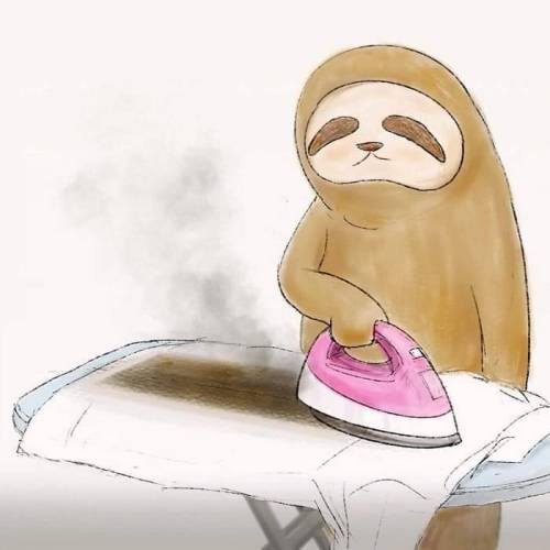 [스압] 나무늘보로 산다는것은