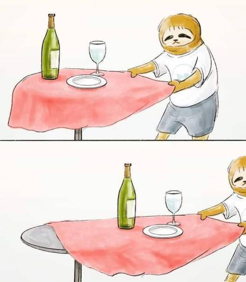 [스압] 나무늘보로 산다는것은