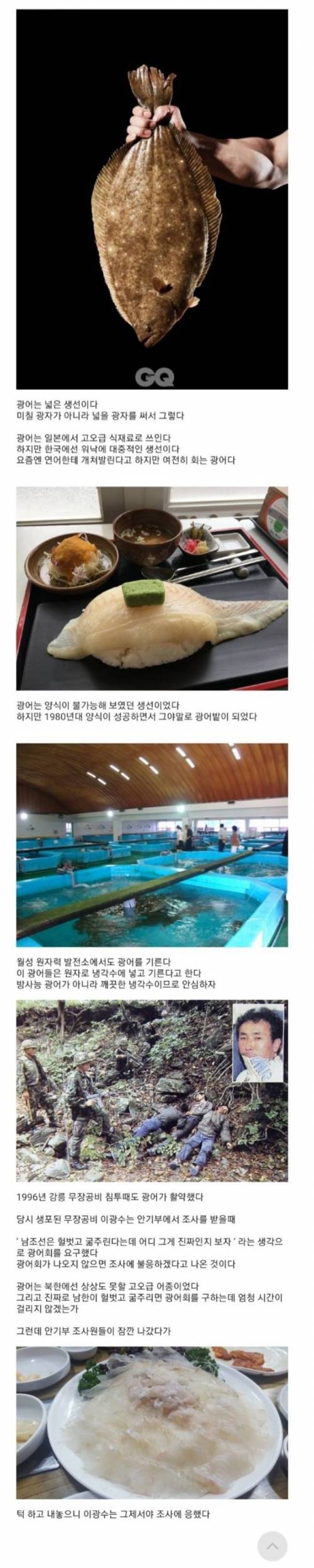 의외로 모르는 광어의 진실.jpg