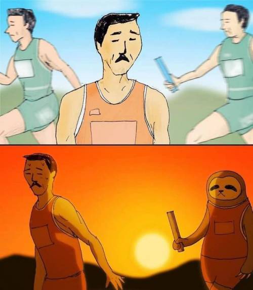 [스압] 나무늘보로 산다는것은