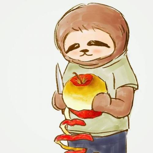 [스압] 나무늘보로 산다는것은
