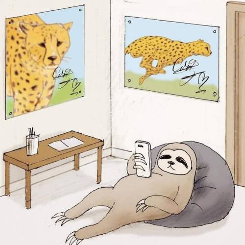 [스압] 나무늘보로 산다는것은
