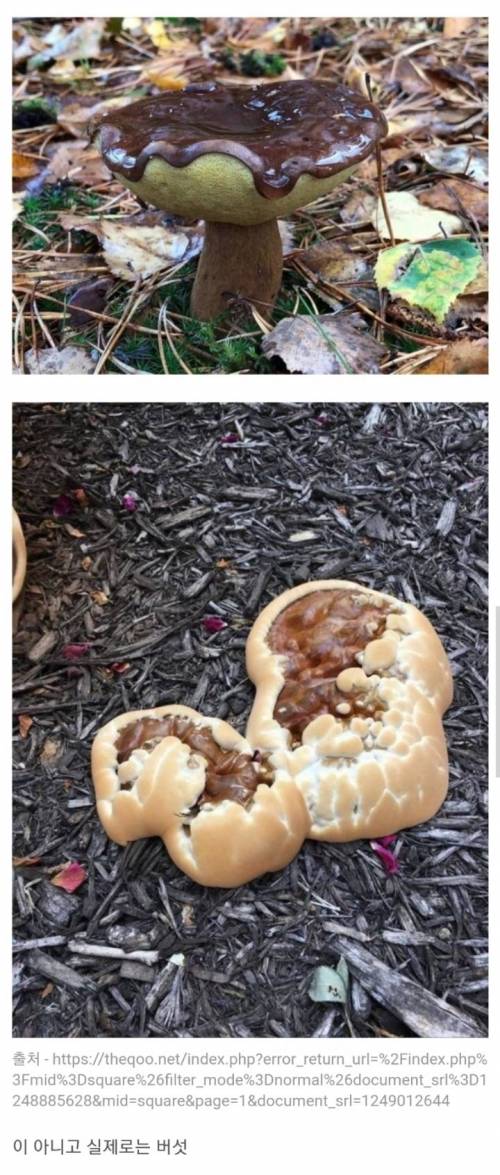 툴이 먹다 죽어도 모를맛.jpg